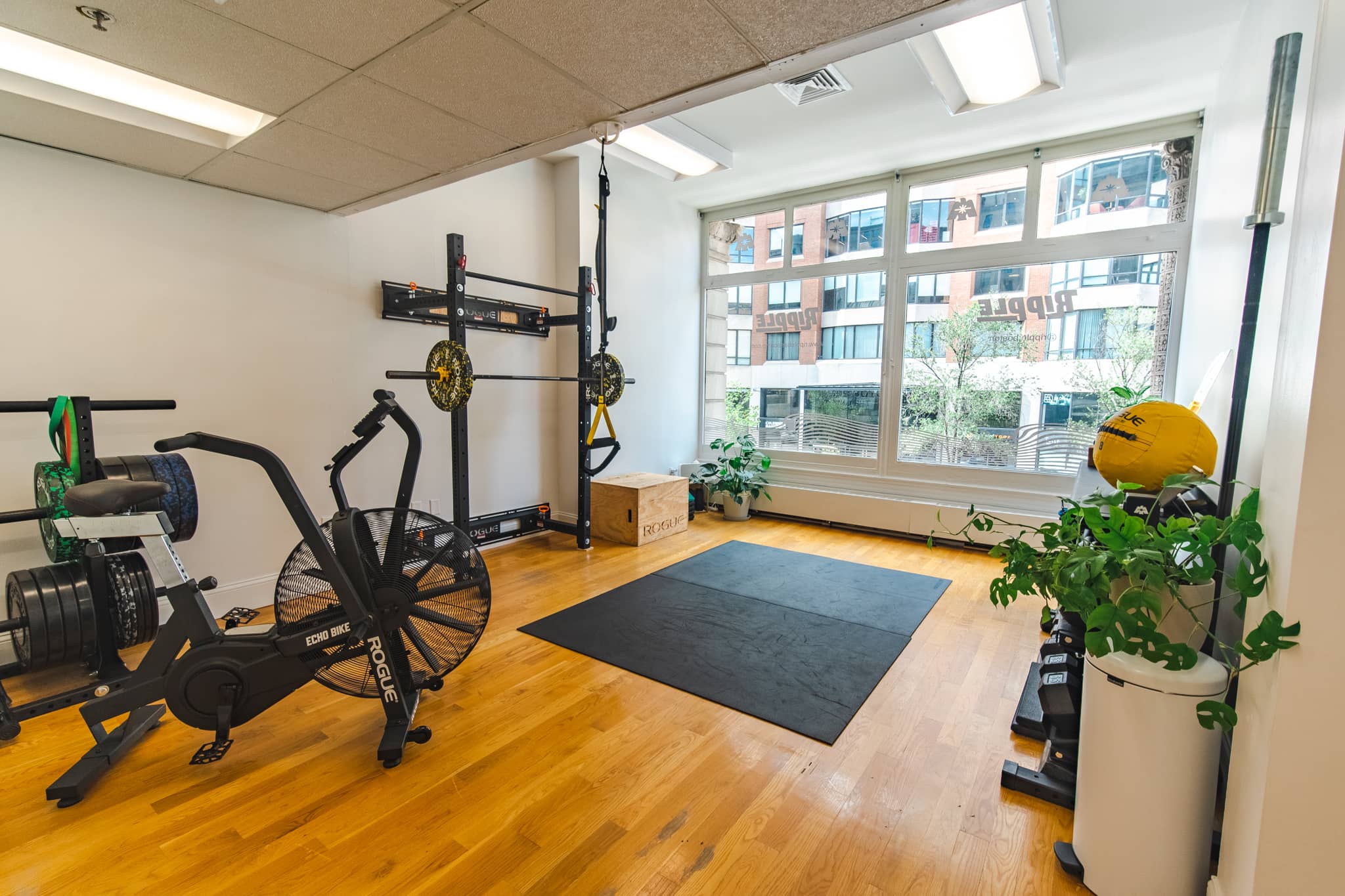 Ripple Boston Physical Therapy Gym